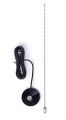  SNS QUM-137